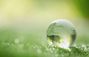 Sustentabilidad y Tecnología