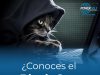 Desentrañando el Misterio del Ciberataque Black Cat: Amenaza en la Era Digital