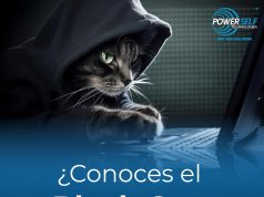 Desentrañando el Misterio del Ciberataque Black Cat: Amenaza en la Era Digital